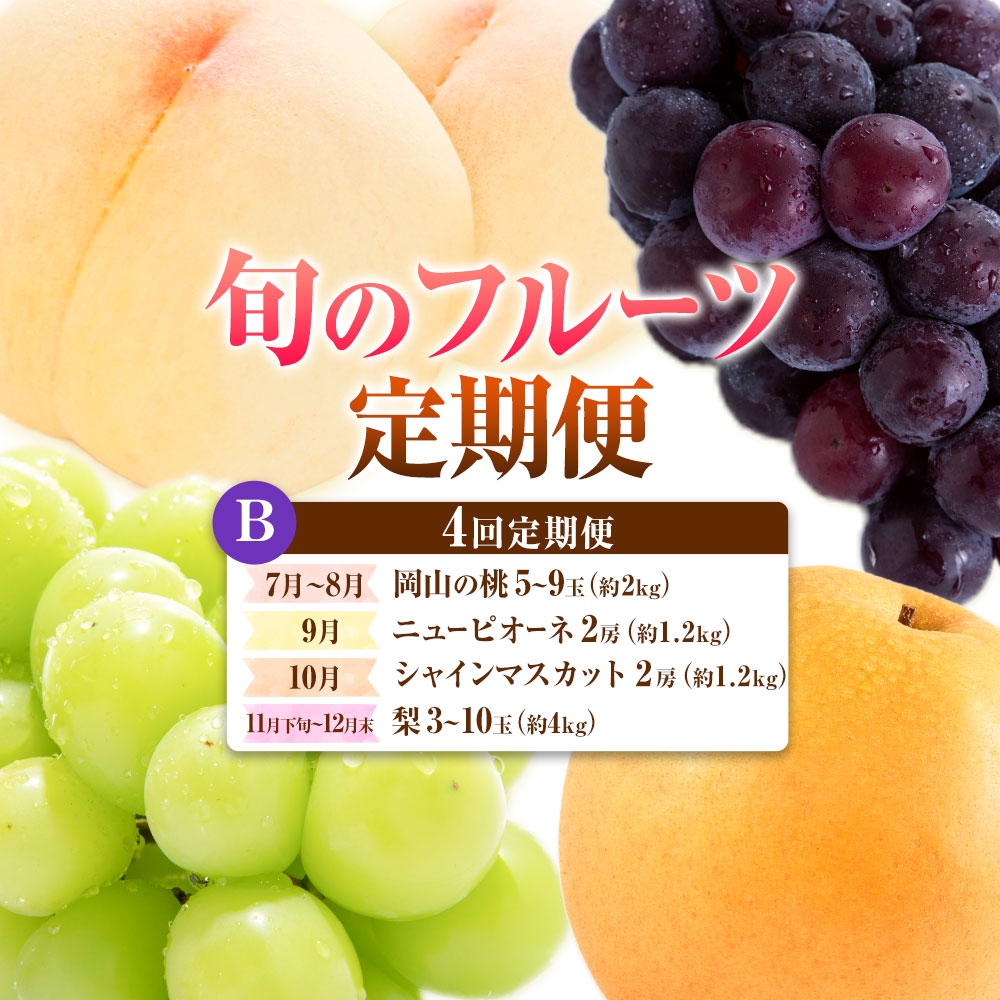 【定期便】旬のフルーツ定期便 岡山のﾌﾙｰﾂ 定期便 Bコース 4回定期便 岡山県産 桃 シャインマスカット ニューピオーネ 梨 《7月上旬-12月末頃出荷》岡山県 笠岡市 フルーツ 旬 果物 ぶどう 梨 マスカット お取り寄せ---kasaoka_zsytei_329_mpsn4b---