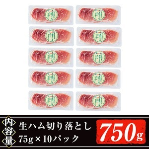 ＜2025年4月中に発送予定＞国産豚生ハム切り落とし75g×10P(計750g) 生ハム おつまみ 小分け 【ナンチク】A302-04-v01
