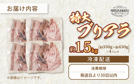 天然 ぶり 特大 ブリアラ（煮付け用）合計 約1.5kg 美浜町日向産【ぶつ切り 切身 塩焼き 骨付き ブリ大根 煮物 アラ】 [m36-a019]