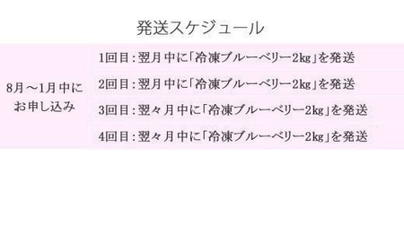 【定期便】 ブルーベリー三昧 Aセット（約8kg／4回発送） 完熟生ブルーベリー（8月中旬以降は冷凍ブルーベリー） エコえひめ認証