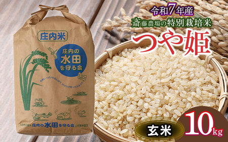 【令和7年産】 斎藤農場の特別栽培米 つや姫 玄米 10kg 山形県鶴岡市 [K-7117]