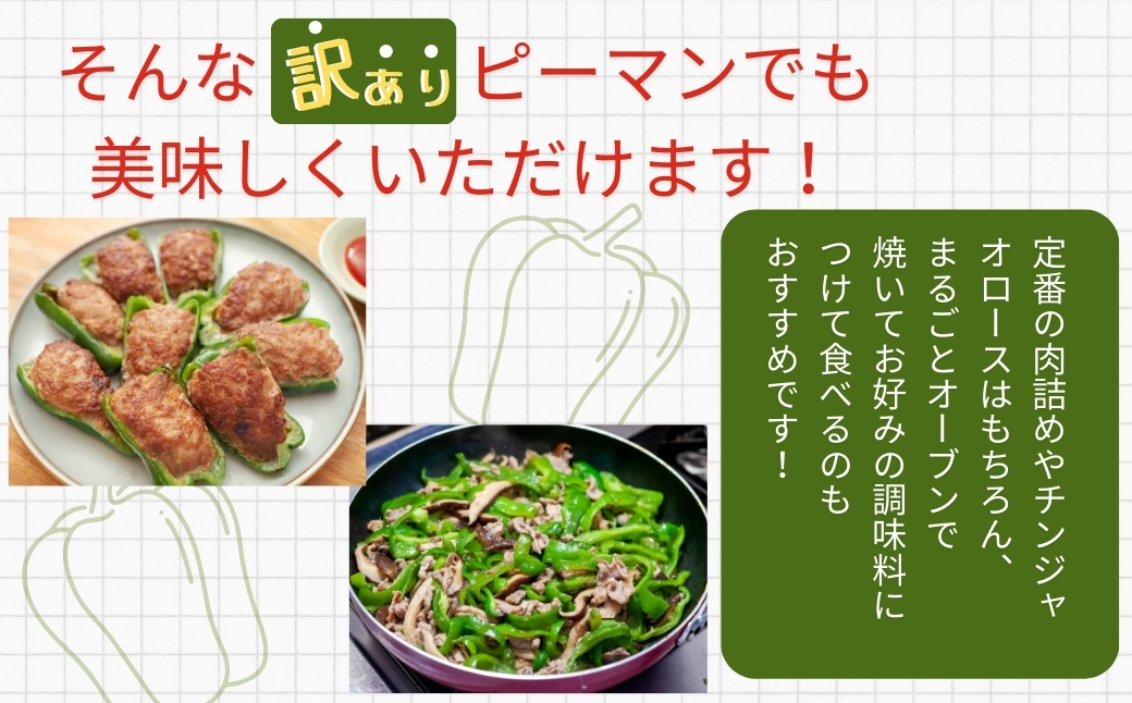農家さん応援！ 【訳あり】 ピーマン 3kg 農家直送 野菜 新鮮 BBQ 焼肉 国産 おすすめ 送料無料 緊急支援品 生活応援 コロナ支援 福島県 田村市 新田ファーム