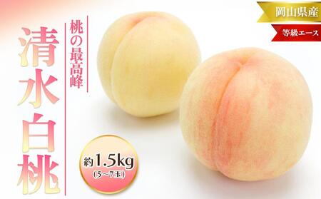 桃 2025年 先行予約 清水 白桃 等級 エース 約1.5kg 5～7玉入りもも モモ 岡山 国産 フルーツ 果物 ギフト 桃茂実苑