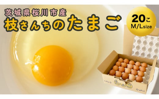 
枝さんちのたまご(M～L20個) 産地直送 餌にこだわり 平飼いでのびのび育った卵[BT001sa]
