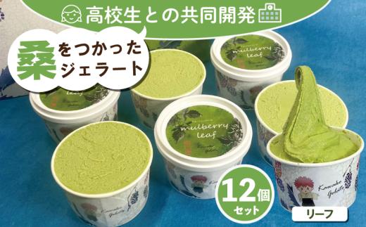 桑の葉 ジェラート マルベリーリーフ 12個 高校生 共同開発 ご当地アイス 冷凍 川高ジェラート 徳島県 吉野川市