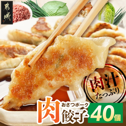 「おさつポーク」使用!肉汁あふれる肉餃子40個_LF-14-001-40