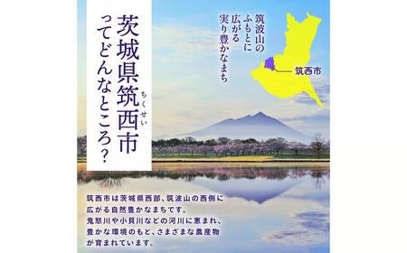 【 定期便 3ヶ月 】 JA北つくば ローズポーク ロース切身 600g ( 100g × 6枚入り )