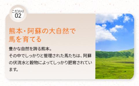 馬かぁホルモン焼 10個セット 約1kg 馬肉 約100g×10 真空 小分け パック 031-0497