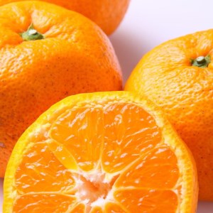 【訳あり】和歌山下津みかん10kgご家庭用向け(サイズ混合) ※2024年11月中旬～2025年1月中旬頃に順次発送予定