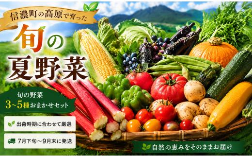 朝採り高原夏野菜3〜5種おまかせセット（7月下旬以降発送）【長野県 信州 信濃町ふるさと納税 ／道の駅しなの】