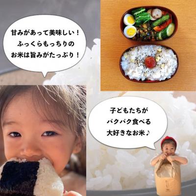 ふるさと納税 南あわじ市 mama-yasaiコシヒカリ 10kg |  | 01