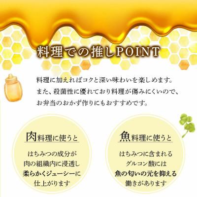 ふるさと納税 鏡野町 山田養蜂場 里山の百花蜂蜜300g(プラ容器入)×2本 (64231) |  | 01