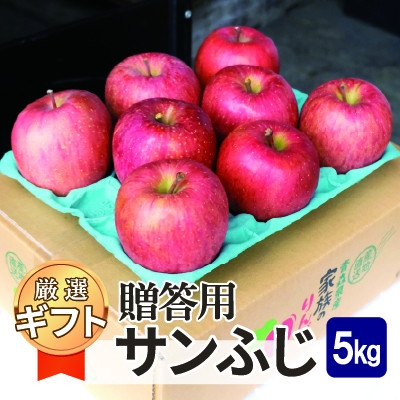 
                  平均糖度13度以上! サンふじ 約5kg 贈答用【1667994】
                