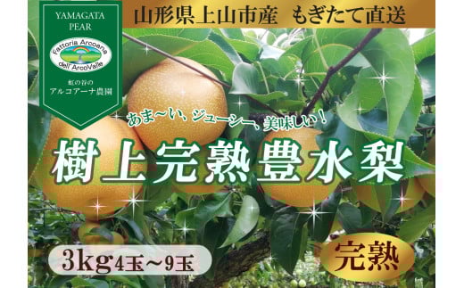 【樹上完熟】和梨「豊水」　３ｋｇ　４～９玉（直送便）　0148-2503