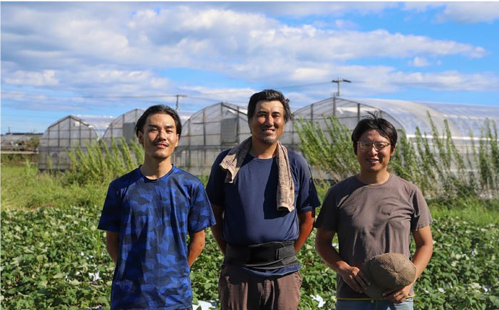 【12回定期便】 土佐の太陽をいっぱいに浴びた旬の野菜セット小 【土佐野菜】 [ATBA007]