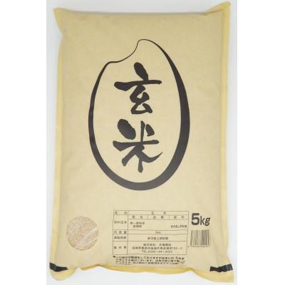 ふるさと納税 栗原市 【令和7年産】宮城栗原産 ひとめぼれ 玄米5kg (5kg×1袋)