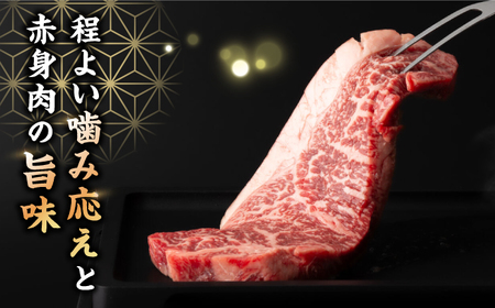 【3回定期便】【赤身本来のコクと旨味！】 九州産黒毛和牛 サーロインステーキ 500g（2～3枚） ＜宮本畜産＞[CFA031]