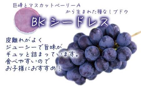 ぶどう 食べ比べ ニューピオーネ&BKシードレス 1kg(2房) 岡山県産ぶどう 【hana026-02】