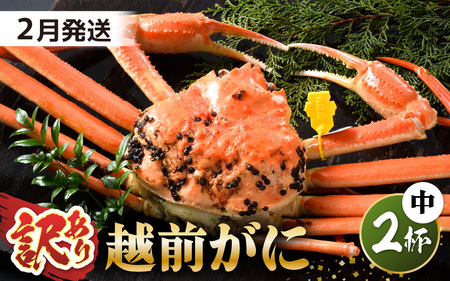 【先行予約】【訳あり】 茹で「越前ズワイ蟹」 中 2杯 脚折れ 【2026年2月発送分】【わけあり ワケアリ カニ かに 蟹 越前ガニ 越前蟹 ずわいがに ズワイガニ ズワイ ボイルガニ 姿 ボイル 冬の味覚 冷蔵 国産 県産】 [L-1401_02]