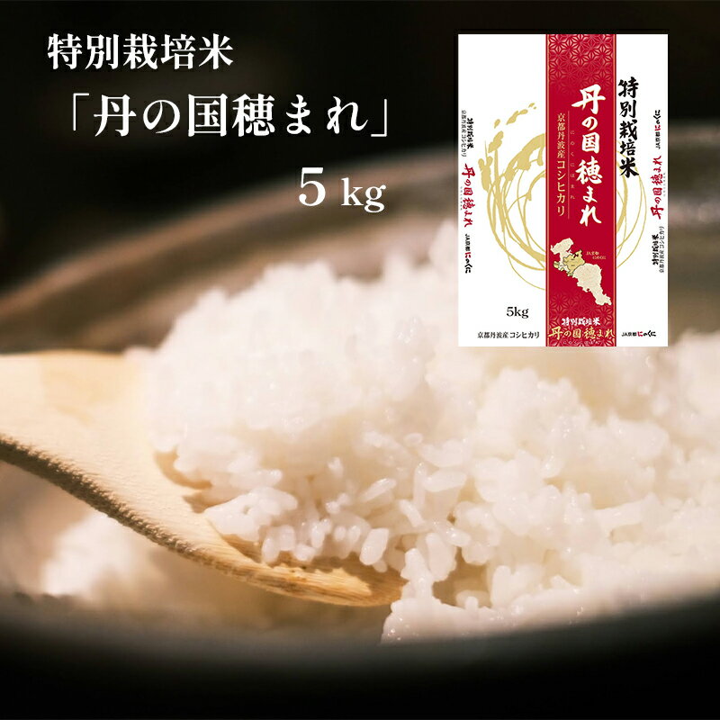 【ふるさと納税】令和7年度産 新米 特別栽培米コシヒカリ「丹の国穂まれ」 5kg こしひかり お米 米 白米 精米 JA 国産 綾部こしひかり 綾部米 ごはん ご飯 ふっくら もちもち 甘味 旨味 減農薬 安心安全 京都 綾部