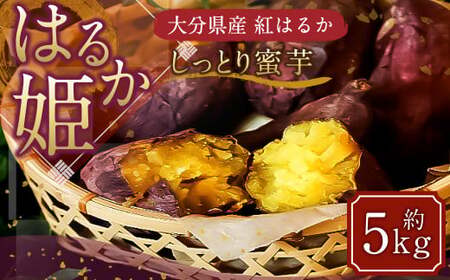 004-1137x2 【先行予約】 はるか姫 約5kg さつまいも サツマイモ 芋 いも 紅はるか べにはるか 大分県 豊後大野市  【2026年11月下旬-2027年5月下旬発送予定】