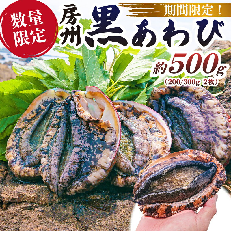 【ふるさと納税】 【先行受付 2026年5月～9月初旬発送予定】【数量限定】房州 黒あわび 約500g (200/300g × 2枚)千葉県 南房総市 あわび 貝類 特産品 海産物 お刺身 踊り焼 ギフト ご褒美 おつまみ お取り寄せ グルメ 送料無料