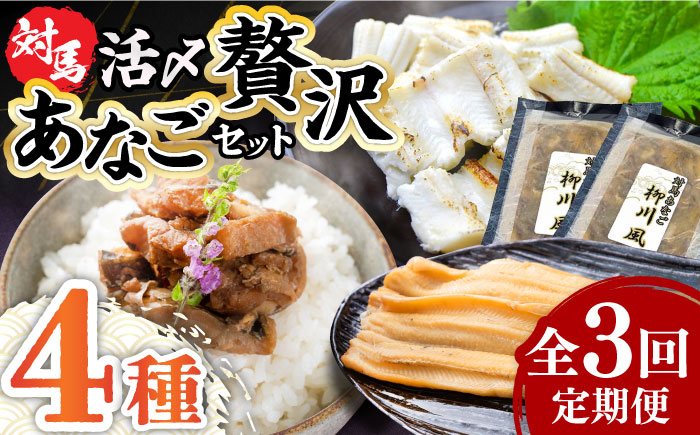 
            【全3回定期便】対馬産 あなご 贅沢 セット 《対馬市》【対馬地域商社】九州 長崎 煮あなご 佃煮 アナゴ [WAC021]冷凍 新鮮 あなご 穴子 柳川風 下処理 寿司 あなご重 天ぷら おかず もう1品 おつまみ おにぎり ちらし寿司 海鮮 魚介 長崎 対馬 定期便 毎月届く
          