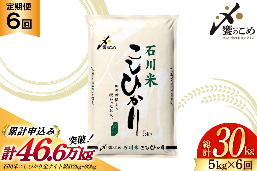 米 定期便 石川米 こしひかり 5kg 6回 計 30kg [中橋商事 石川県 宝達志水町 38601131] コシヒカリ お米 こめ おこめ ごはん ご飯 6ヶ月 ６ヶ月 6か月 ６か月 5キロ ５キロ 30キロ ３０キロ 白米 精米 石川 石川県産