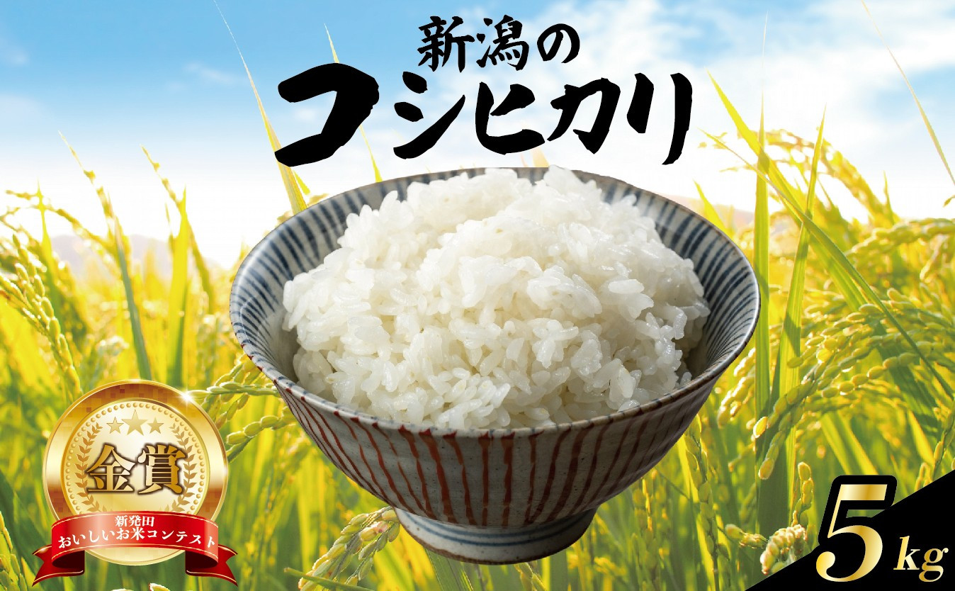
            【先行予約】令和7年産 コシヒカリ 5kg 選べる 配送月 こしひかり 精米 白米 ご飯 おにぎり 弁当 新潟県産 新発田産 新潟 米 お米 こめ 受賞 越後新鮮組 新潟県 米 新潟県 新発田市 shinsengumi001
          