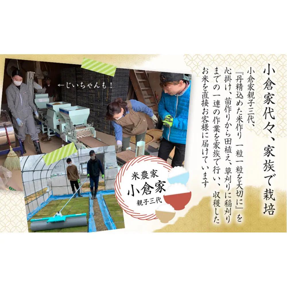 【令和８年　新米予約 】【生産者直送】【定期便１２ヶ月】南魚沼産こしひかり　白米5kg×全12回　合計60kg   オグライスファーム＜コシヒカリ 精米 農家直送＞【2026年10月中旬頃から受付順に