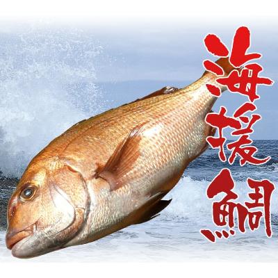 ふるさと納税 香美市 真鯛炊込み飯の素　3合炊き用(濃縮タレ付) |  | 01