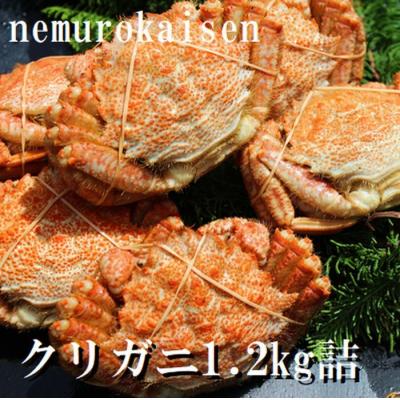 ふるさと納税 根室市 【北海道根室産】クリガニ200〜250g×5〜6尾(1.2kg) A-57056