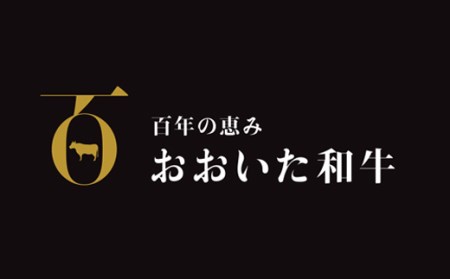 希少部位4種焼肉セット1.2kg（800g・400g各1箱）【匠牧場】おおいた和牛＜102-013_5＞