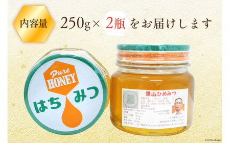 はちみつ 国産 純粋はちみつ 里山ひめみつ 250g 2瓶