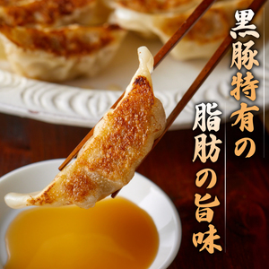 霧島黒豚餃子 120個 冷凍 小分け 餃子 IR 