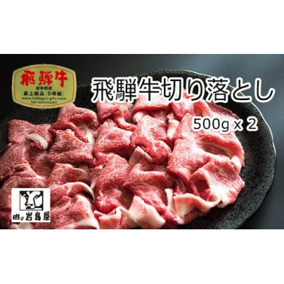 
飛騨牛 切り落とし肉 A5ランク 1kg【1344018】
