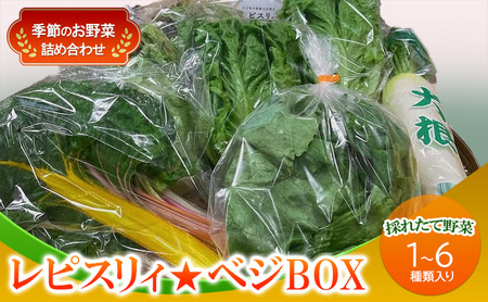 野菜セット レピスリィ ベジBOX 季節の野菜 詰合せ 野菜セット【1〜6種類】