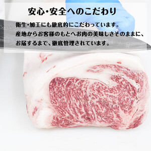 近江牛 焼肉 人気部位 食べ比べ（カルビ・赤身）計800g（各400g×2） ギフトにも 牛長商会 みんなのお肉本舗