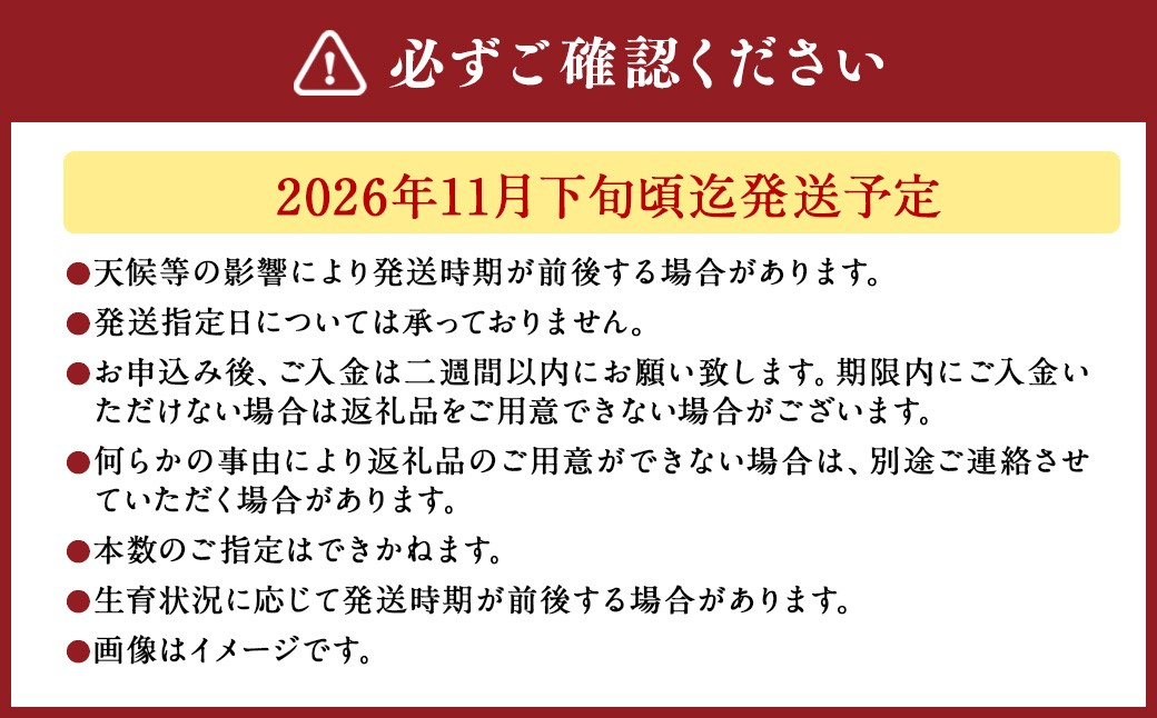バラ 混合（40‐50本）