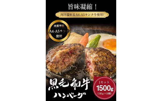 黒毛和牛ハンバーグ150g×10個    トップルーフ《60日以内に出荷予定(土日祝除く)》---so_ftopkrham_60d_21_28000_1500g---