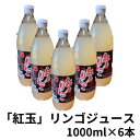 【ふるさと納税】紅玉りんごジュース　1000ml×6本【配送不可地域：離島】【1418485】