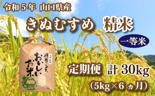 
【定期便6ヵ月】令和5年 山口県産 きぬむすめ 精米 5kg×6回
