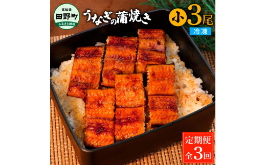 
田野町産うなぎの蒲焼き(小) 3尾×3回 定期便 3ヶ月 定期コース 1尾あたり90～120g タレ付き 山椒付き うなぎ 鰻 ウナギ 蒲焼き かば焼き 無頭 おいしい 国産 お取り寄せ 冷凍 配送
