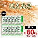 【ふるさと納税】【定期便12回】山形産はえぬき 精米5kg×12ヶ月(頒布会)計60kg fz22-019 山形 お取り寄せ 送料無料 ブランド米 山形市 山形県