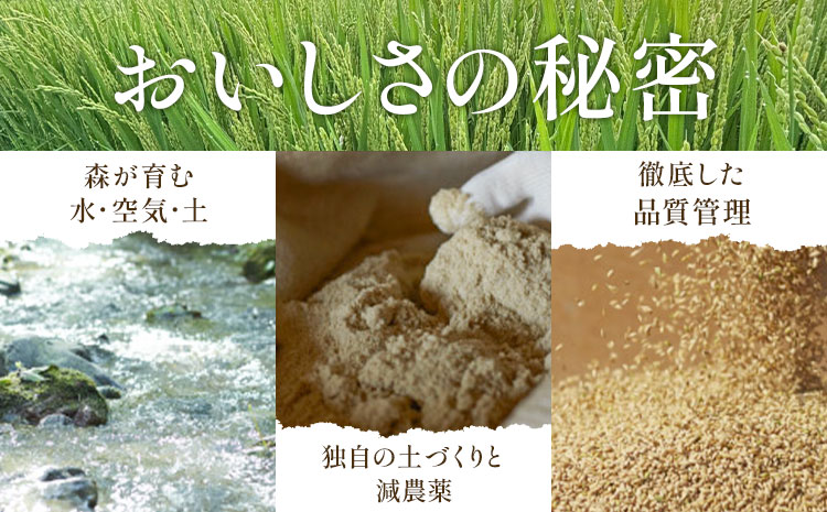 令和7年産 ゆめぴりか 5kg 5kg×1袋 田中農園《90日以内に出荷予定(土日祝除く)》北海道 日高町 米 白米 精米 お米 北海道日高町