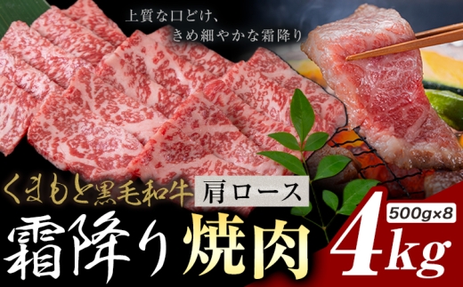 黒毛和牛 霜降り 肩ロース 焼肉 4kg《30日以内に出荷予定(土日祝除く)》熊本県 氷川町 牛 牛肉 和牛 ブランド牛