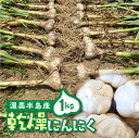 【ふるさと納税】25年発送分 ≪先行予約≫ 訳あり 渥美半島産　ニンニク （乾燥）1kg 簡易包装 にんにく 国産にんにく 平戸にんにく 愛知県 田原市