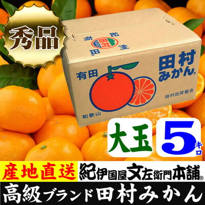 V7451_田村みかん／5kg秀品【大玉サイズ】/ 紀州和歌山有田郡湯浅町田村地区産 / 最高級プレミアムブランドの田村ミカン 
/ 紀伊国屋文左衛門本舗(お届け日指定不可)