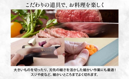 T80シリーズ 牛刀 210mm 包丁 シェフナイフ ナイフ キッチン用品 調理器具 キッチングッズ 切れ味 錆びにくい 洋包丁 モリブデン鋼 高品質 切れ味 プロ仕様 耐久性 日本製 料理 プレゼン