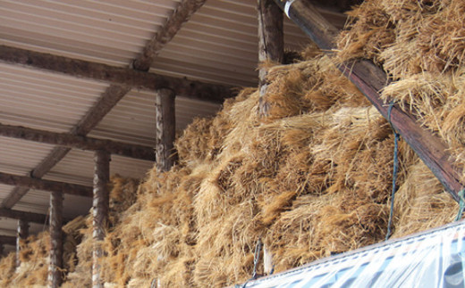 牧舎みねむら 焼肉セット600g | 長野県 東御市 牛肉 黒毛和牛 A4 A5 国産 バラ カルビ モモ 肩 ロース 小分け 冷凍